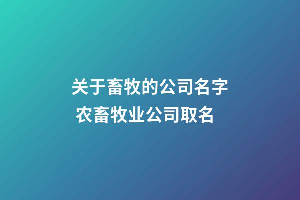 关于畜牧的公司名字 农畜牧业公司取名